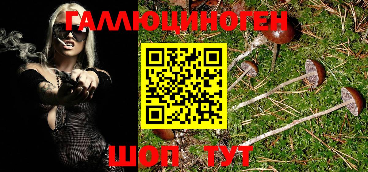 Псилоцибиновые грибы MAGIC MUSHROOMS  Псилоцибиновые грибы MAGIC MUSHROOMS  Вход с VPN  Ханты-Мансийск 